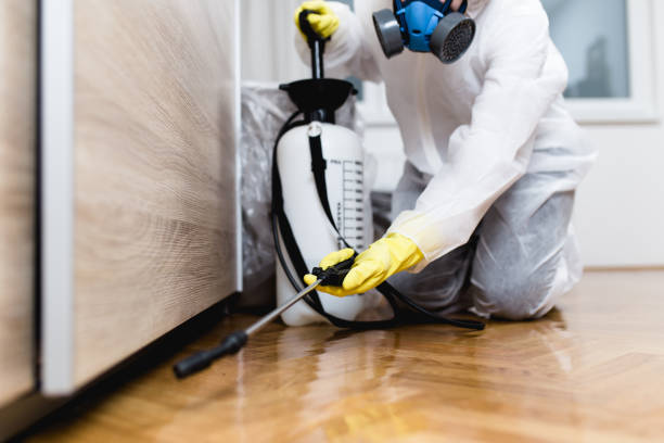 Best Pest Prevention Services  in Lockport Heights, LA