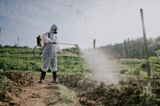 Best Mosquito Control Services  in Lockport Heights, LA