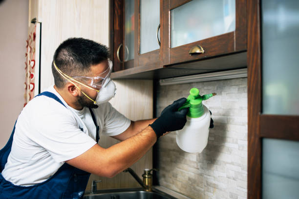 Best Wasp Removal Services  in Lockport Heights, LA