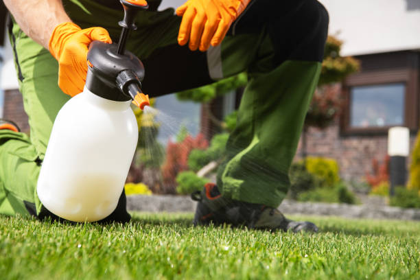 Best Pest Control Treatment  in Lockport Heights, LA