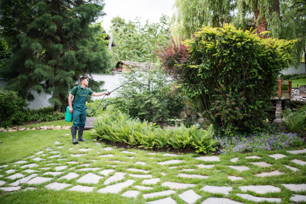 Professional Pest Control in Lockport Heights, LA