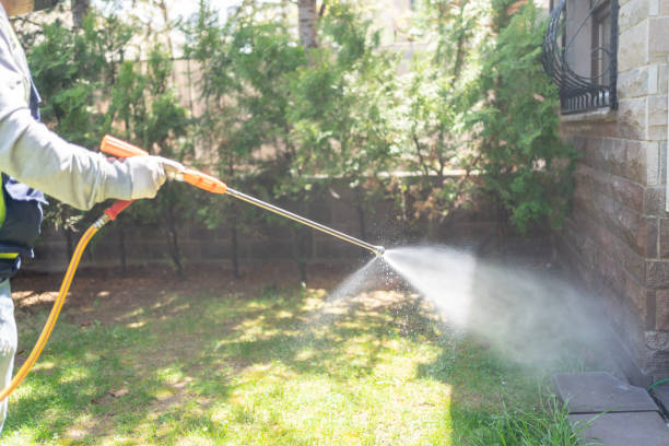 Best Spider Control Near Me  in Lockport Heights, LA