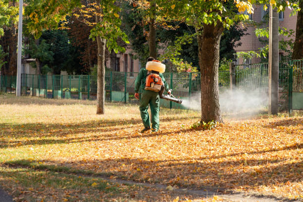 Best Bed Bug Extermination  in Lockport Heights, LA
