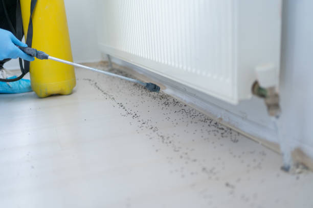 Best Residential Pest Control  in Lockport Heights, LA